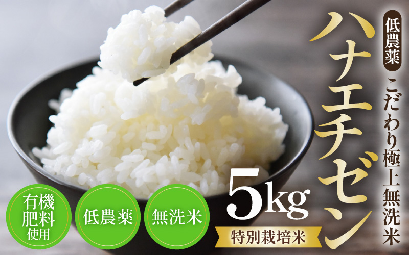 【令和8年産】特別栽培米 ハナエチゼン 無洗米 5kg  低農薬 《こだわり無洗米》 / 福井県 あわら 北陸 米 お米 人気 [aw032-a021]
