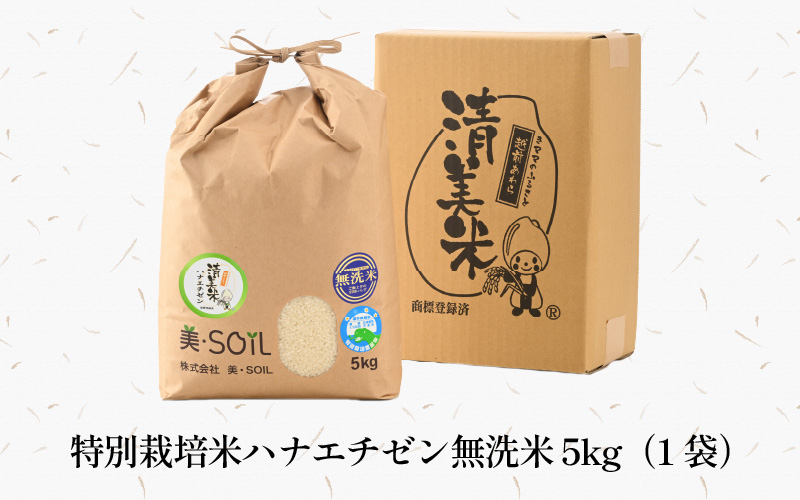 【令和8年産】特別栽培米 ハナエチゼン 無洗米 5kg  低農薬 《こだわり無洗米》 / 福井県 あわら 北陸 米 お米 人気 [aw032-a021]