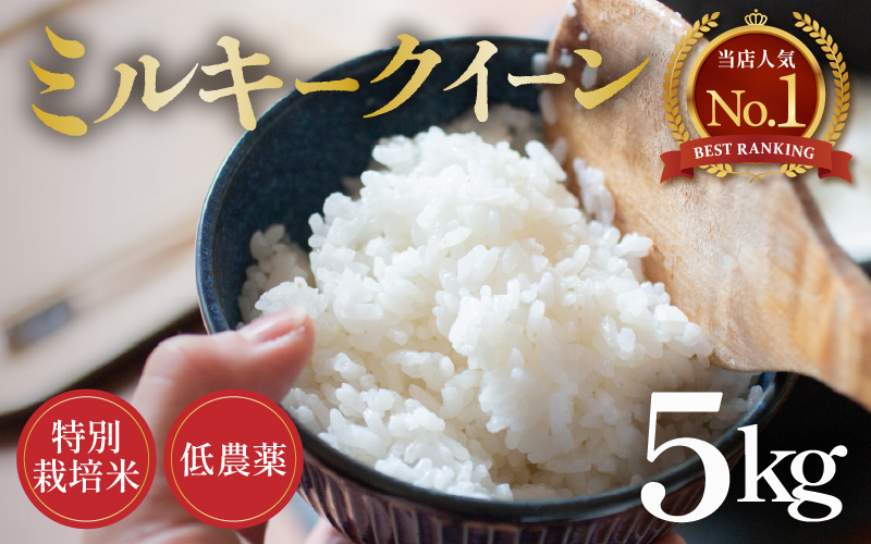 【先行予約】【令和8年産 新米】ミルキークイーン 5kg 精米 特別栽培米 低農薬 《食味値85点以上！こだわり精米》 / 福井県 あわら市 北陸 米 お米 人気 白米 精米 ※2026年9月上旬より順次発送 [aw032-a014]