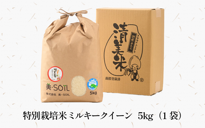 【先行予約】【令和8年産 新米】ミルキークイーン 5kg 精米 特別栽培米 低農薬 《食味値85点以上！こだわり精米》 / 福井県 あわら市 北陸 米 お米 人気 白米 精米 ※2026年9月上旬より順次発送 [aw032-a014]