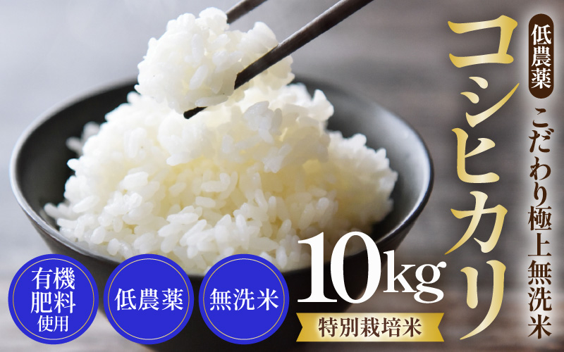 【令和8年産】特別栽培米 コシヒカリ 無洗米 10kg 低農薬 《食味値85点以上！こだわり無洗米》 / 福井県 あわら 北陸 米 お米 人気 高品質 鮮度抜群 新米 [aw032-c012]