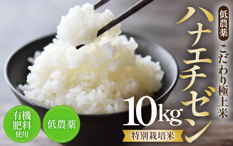 【先行予約】【令和8年産・新米】特別栽培米 ハナエチゼン 10kg  低農薬 《こだわり極上米》 / 福井県 あわら 北陸 米 お米 人気 ※2026年9月上旬以降順次発送 [aw032-c010]