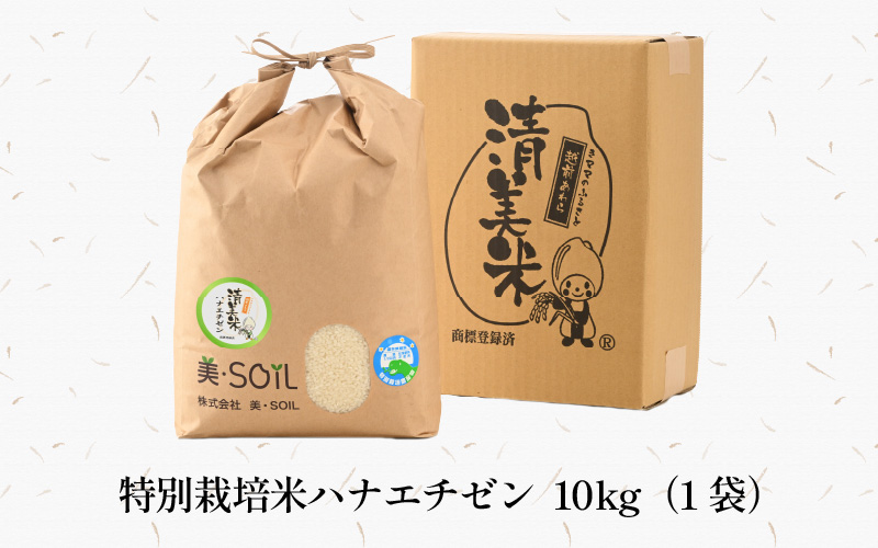 【先行予約】【令和8年産・新米】特別栽培米 ハナエチゼン 10kg  低農薬 《こだわり極上米》 / 福井県 あわら 北陸 米 お米 人気 ※2026年9月上旬以降順次発送 [aw032-c010]