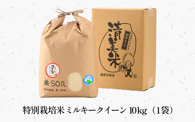 【先行予約】【令和8年産 新米】ミルキークイーン 10kg 精米 特別栽培米 低農薬 《食味値85点以上！こだわり精米》 / 福井県 あわら市 北陸 米 お米 人気 白米 精米 ※2026年9月上旬より順次発送 [aw032-c008]
