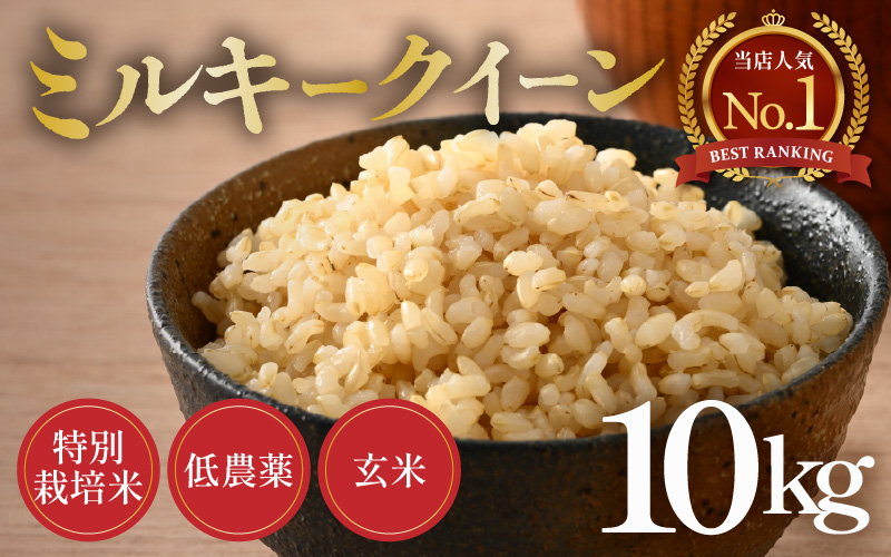 【令和8年産】ミルキークイーン 玄米 10kg 特別栽培米 低農薬 《食味値85点以上》 / 福井県 あわら市 北陸 米 お米 人気 [aw032-b007]