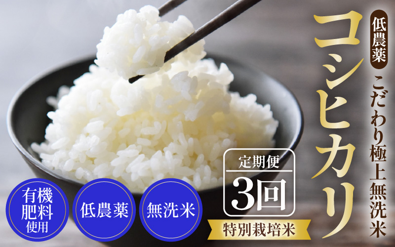 【令和8年産】《定期便3回》5kg×3回 15kg 特別栽培米 コシヒカリ 無洗米 低農薬 《食味値85点以上！こだわり無洗米》 / 福井県 あわら 北陸 米 お米 人気 高品質 鮮度抜群 新米 [aw032-d010]