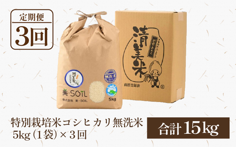 【令和8年産】《定期便3回》5kg×3回 15kg 特別栽培米 コシヒカリ 無洗米 低農薬 《食味値85点以上！こだわり無洗米》 / 福井県 あわら 北陸 米 お米 人気 高品質 鮮度抜群 新米 [aw032-d010]