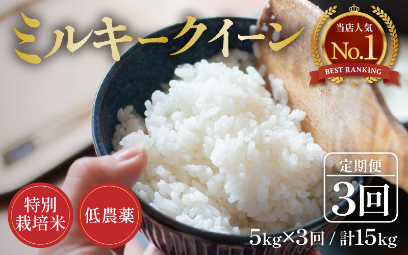 【先行予約】【令和8年産 新米】定期便《3ヶ月連続お届け》5kg×3回 15kg 特別栽培米 ミルキークイーン 精米 低農薬 《食味値85点以上！こだわり精米》 / 福井県 あわら市 北陸 米 お米 人気 白米 精米 ※2026年9月上旬より順次発送 [aw032-e005]