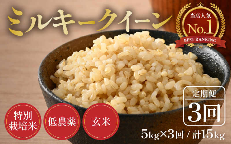 【先行予約】【令和9年産】《定期便3回》5kg×3回 15kg 特別栽培米 ミルキークイーン 玄米 低農薬 《食味値85点以上！こだわり玄米》 / 福井県 あわら 北陸 米 お米 人気 ※2027年9月上旬より発送予定 [aw032-d015]