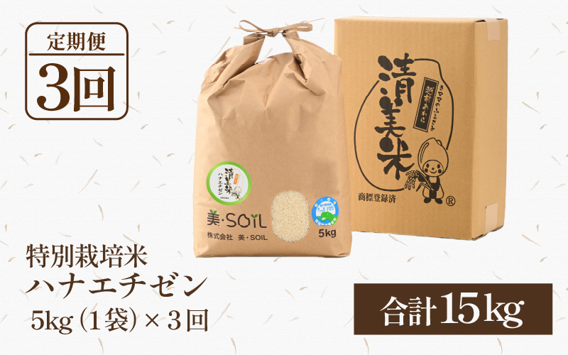 【先行予約】【令和8年産・新米】《定期便》特別栽培米 ハナエチゼン 低農薬 5kg×3回 15kg 《こだわり極上米》 / 福井県 あわら 北陸 米 お米 人気 ※2026年9月上旬以降順次発送 [aw032-d007]