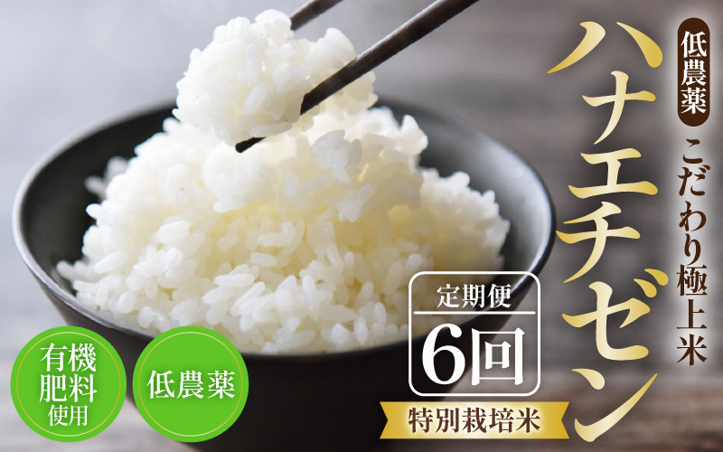 【先行予約】【令和8年産・新米】《定期便》特別栽培米 ハナエチゼン 低農薬 5kg×6回 30kg 《食味値85点以上！こだわり極上米》 / 福井県 あわら 北陸 米 お米 人気 ※2026年9月中旬以降順次発送 [aw032-i004]