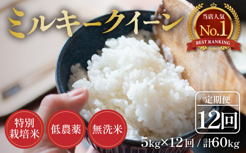 【令和8年産】定期便《12ヶ月連続お届け》5kg×12回 60kg 特別栽培米 ミルキークイーン 無洗米 低農薬《食味値85点以上！こだわり無洗米》 / 福井県 あわら市 北陸 米 お米 人気 白米 精米 [aw032-n005]