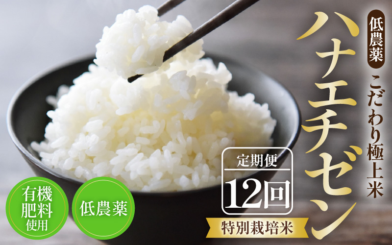【先行予約】【令和8年産・新米】《定期便》特別栽培米 ハナエチゼン 低農薬 5kg×12回 60kg 《食味値85点以上！こだわり極上米》 / 福井県 あわら 北陸 米 お米 人気 ※2026年9月下旬以降順次発送 [aw032-n004]
