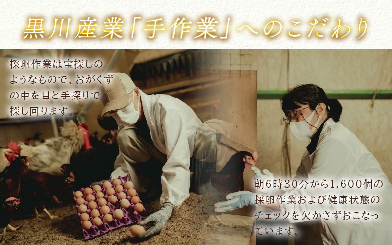【採れたて高級たまご】黒ちゃん家のエッグタルト 10個入り（5個×2セット） 福地鶏 国産 スイーツ 濃厚 たまご 自社加工 にわとり 平飼い 手作り ギフト [aw036-a008]