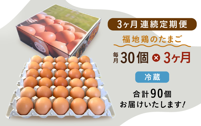 【3ヶ月連続お届け】 福井ブランド 「福地鶏」 の卵 30個 濃厚で甘くておいしい！ 定期便 ／ 卵 たまご 鶏卵 生卵 有精卵 高級 高級卵 福地鶏 鶏 平飼い 美味しい こだわり 3ヶ月 定期便 卵かけご飯 料理 あわら市 福井県産 [aw036-b002]