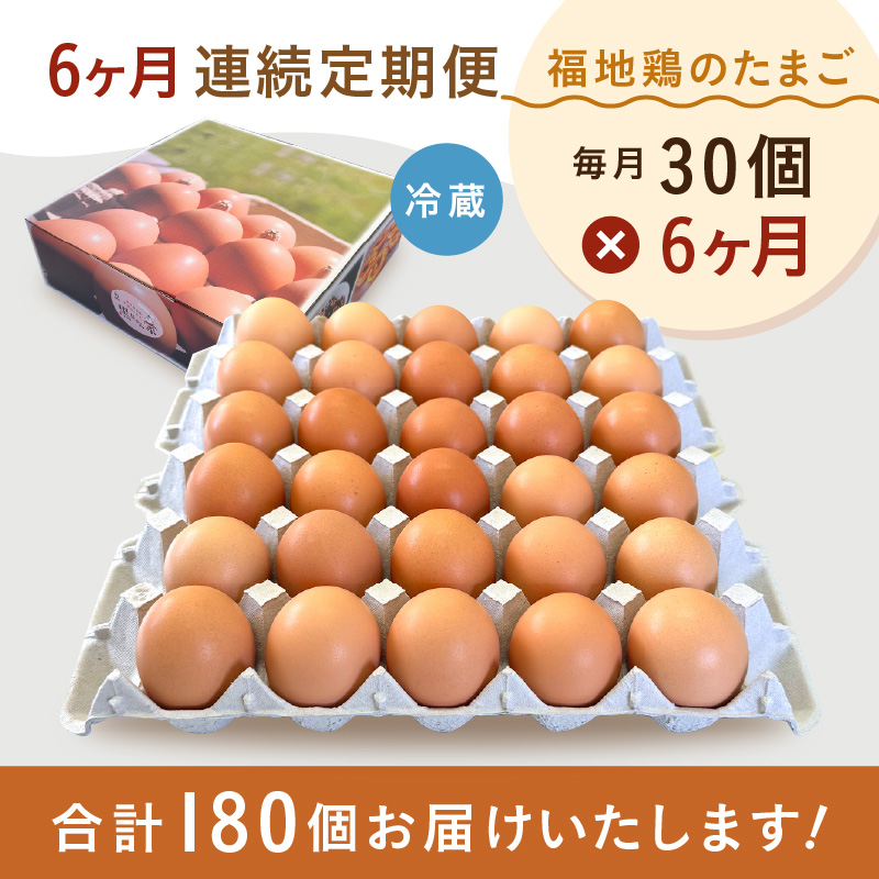 【6ヶ月連続お届け】 福井ブランド 「福地鶏」 の卵 30個 濃厚で甘くておいしい！  定期便 ／ 卵 たまご 鶏卵 生卵 有精卵 高級 高級卵 福地鶏 鶏 平飼い 美味しい こだわり 6ヶ月 定期便 卵かけご飯 料理 あわら市 福井県産 [aw036-e001]