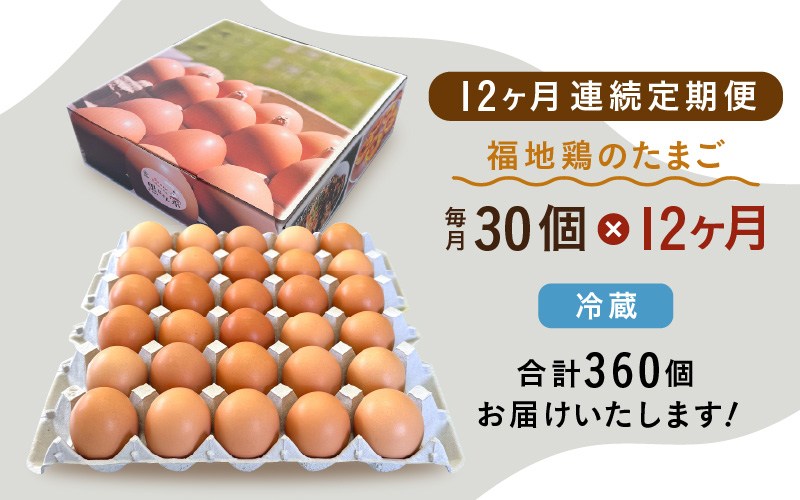 【12ヶ月連続お届け】福井ブランド「福地鶏」の卵 30個 濃厚で甘くておいしい！定期便 ／ 卵 たまご 鶏卵 生卵 有精卵 高級 高級卵 福地鶏 鶏 平飼い 美味しい こだわり 12ヶ月 定期便 卵かけご飯 料理 値下げ あわら市 福井県産 [aw036-j001]