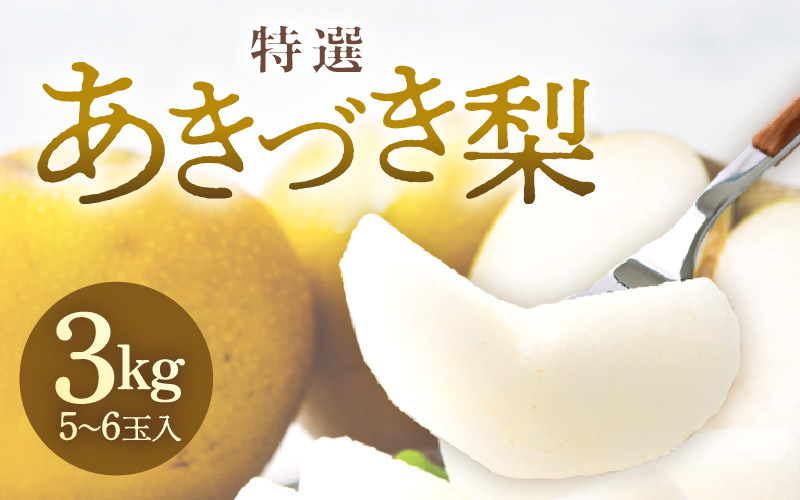 【先行予約】《数量限定》あきづき梨 3kg特選 5玉～6玉入り もぎたて 新鮮 ※2026年9月中旬より順次発送予定 [aw042-a005]