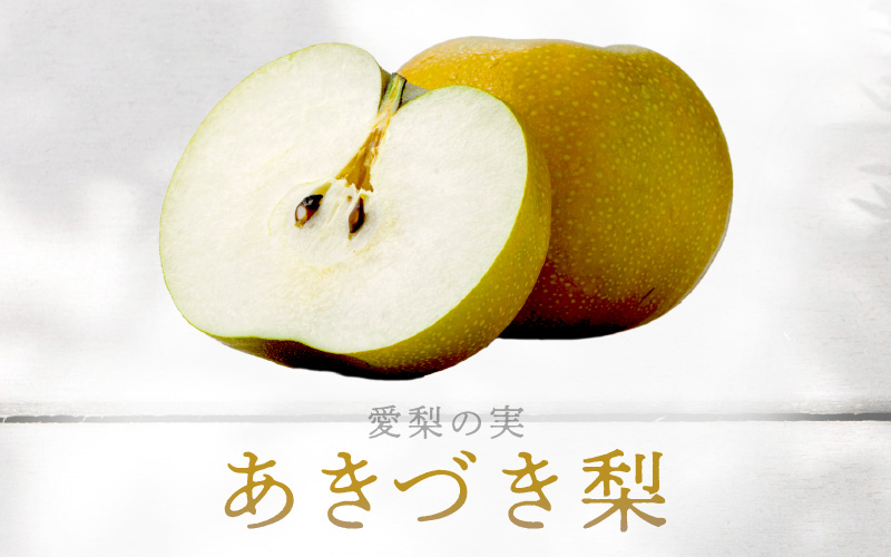 【先行予約】《数量限定》あきづき梨 3kg特選 5玉～6玉入り もぎたて 新鮮 ※2026年9月中旬より順次発送予定 [aw042-a005]