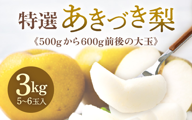 【先行予約】《数量限定》あきづき梨 3kg特選 5玉～6玉入り もぎたて 新鮮 ※2026年9月中旬より順次発送予定 [aw042-a005]