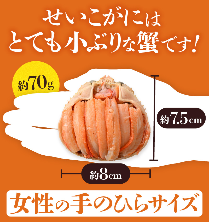【先行予約】日本海産 せいこがに甲羅盛り 約70g×4杯 / 期間限定 冷凍 蟹 カニ 便利 身出し 小分け ビール おつまみ メス 福井 福井県 お取り寄せ むき身 ポーション 甲羅盛 脚 ※2026年11月上旬より準備出来次第発送予定 [aw050-a011]