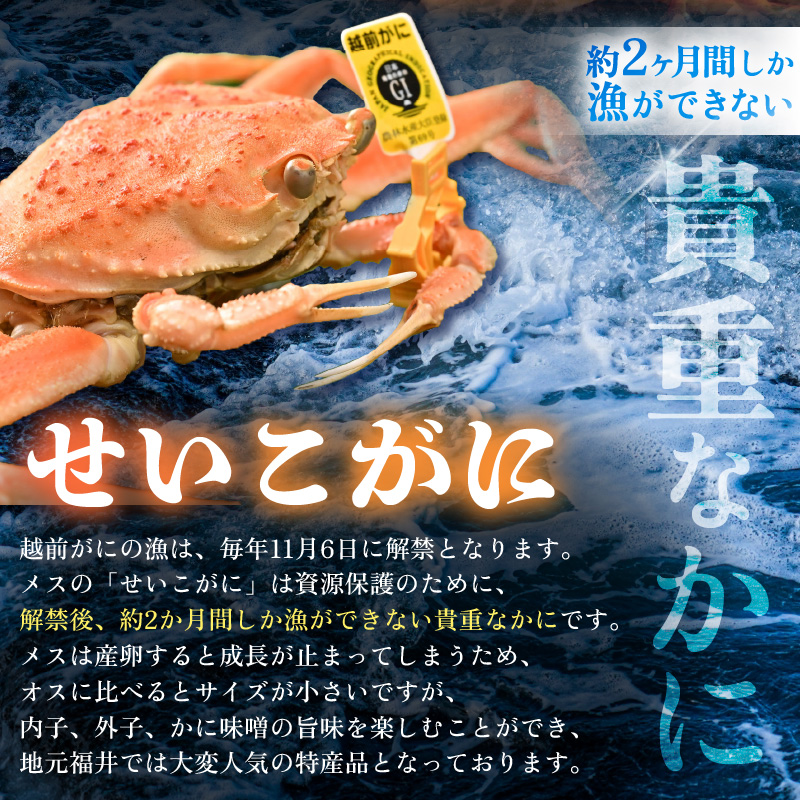 【先行予約】せいこがに甲羅盛り 約70g×4杯 /期間限定 冷凍 解禁 便利 身出し 小分け ビール おつまみ 越前がに メス 福井 福井県 お取り寄せ カニ 蟹 むき身 ポーション 甲羅盛 ボイル 脚 ※2026年11月下旬より準備出来次第発送予定 [aw050-b001]