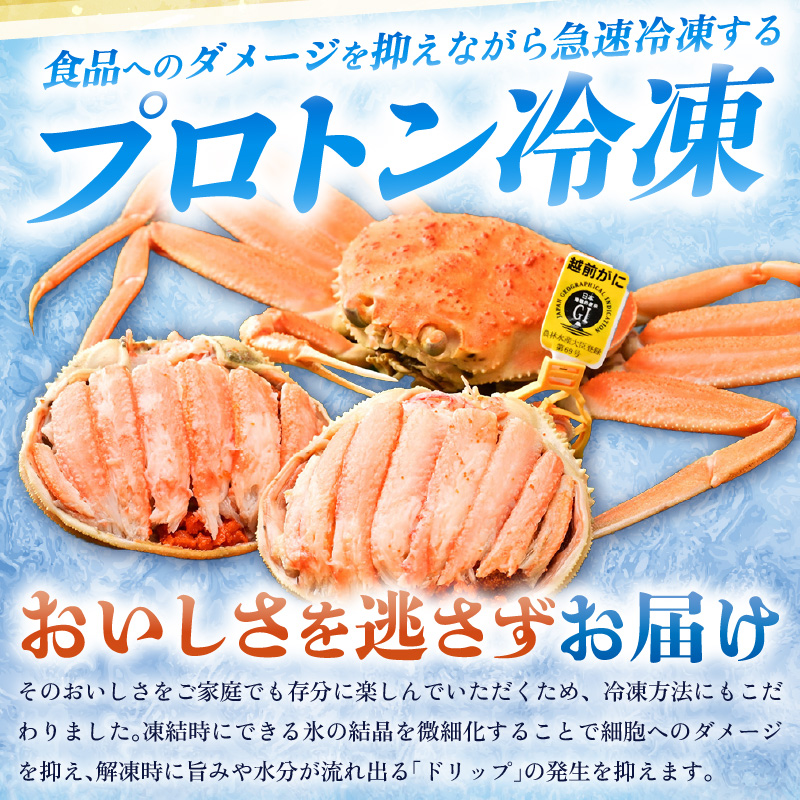 【先行予約】せいこがに甲羅盛り 約70g×4杯 /期間限定 冷凍 解禁 便利 身出し 小分け ビール おつまみ 越前がに メス 福井 福井県 お取り寄せ カニ 蟹 むき身 ポーション 甲羅盛 ボイル 脚 ※2026年11月下旬より準備出来次第発送予定 [aw050-b001]