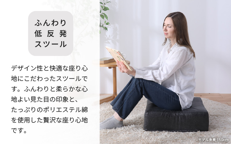 【ブラウン】低反発スツール  ヴァーサ [aw055-a012_02]