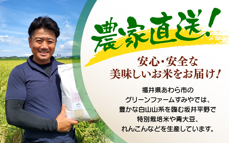 【先行予約】【令和8年産】あきさかり 無洗米 5kg / 北陸 福井県産 あわら市 ブランド米 白米 お米 コメ ※2026年9月下旬以降順次発送予定 [aw056-a027]