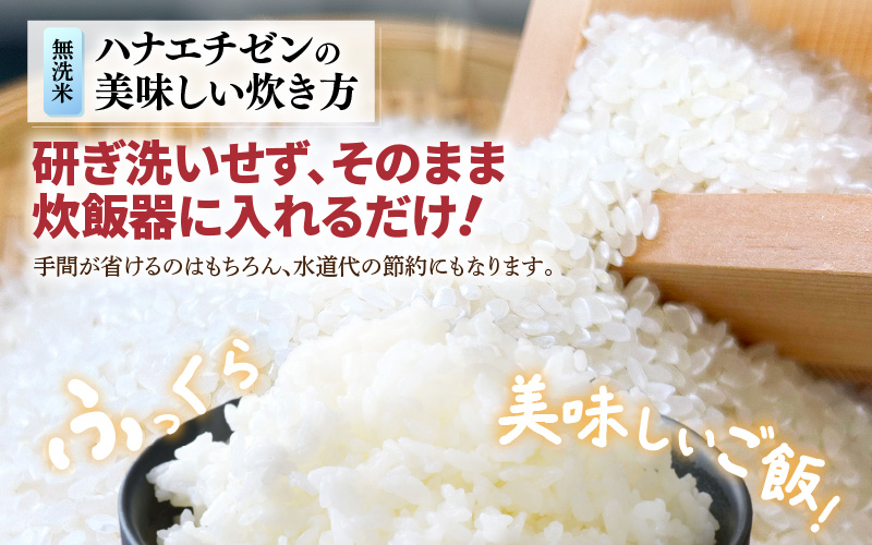 【先行予約】【令和8年産】あきさかり 無洗米 5kg / 北陸 福井県産 あわら市 ブランド米 白米 お米 コメ ※2026年9月下旬以降順次発送予定 [aw056-a027]