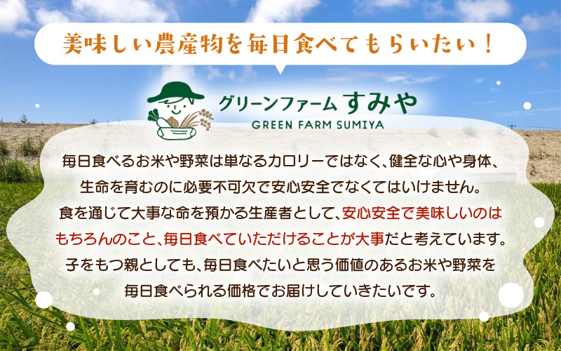 【先行予約】【令和8年産】あきさかり 無洗米 5kg / 北陸 福井県産 あわら市 ブランド米 白米 お米 コメ ※2026年9月下旬以降順次発送予定 [aw056-a027]