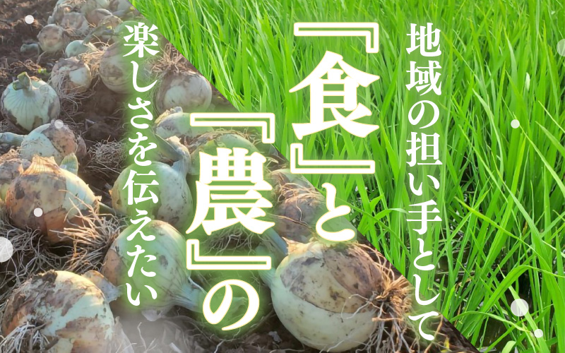 【先行予約】【令和8年産】あきさかり 無洗米 5kg / 北陸 福井県産 あわら市 ブランド米 白米 お米 コメ ※2026年9月下旬以降順次発送予定 [aw056-a027]