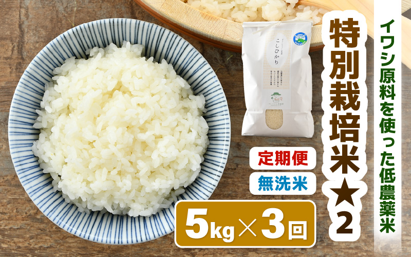 【先行予約】【令和8年産】《定期便3回》特別栽培米 コシヒカリ 5kg × 3回 （計15kg） 無洗米 低農薬 / 北陸 福井県産 あわら市 ブランド米 白米 お米 コメ 特栽米 ※2026年10月上旬以降順次発送予定 [aw056-c001]