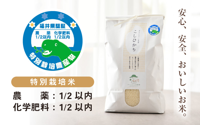 【先行予約】【令和8年産】《定期便3回》特別栽培米 コシヒカリ 5kg × 3回 （計15kg） 無洗米 低農薬 / 北陸 福井県産 あわら市 ブランド米 白米 お米 コメ 特栽米 ※2026年10月上旬以降順次発送予定 [aw056-c001]