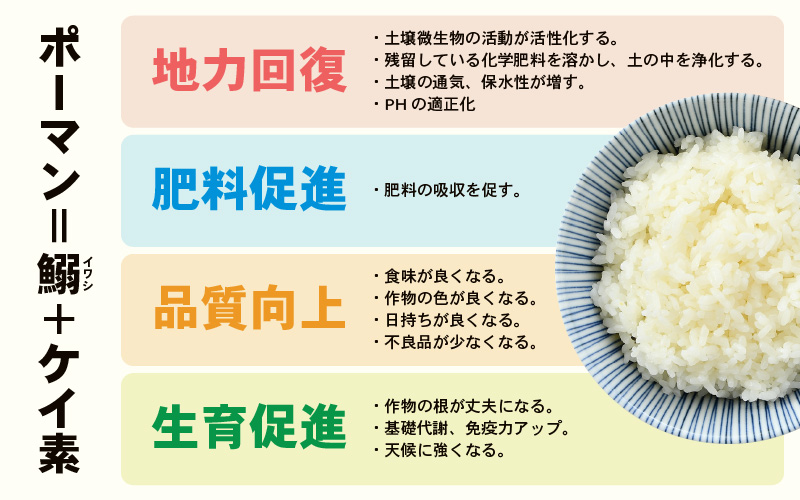 【先行予約】【令和8年産】《定期便3回》特別栽培米 コシヒカリ 5kg × 3回 （計15kg） 無洗米 低農薬 / 北陸 福井県産 あわら市 ブランド米 白米 お米 コメ 特栽米 ※2026年10月上旬以降順次発送予定 [aw056-c001]