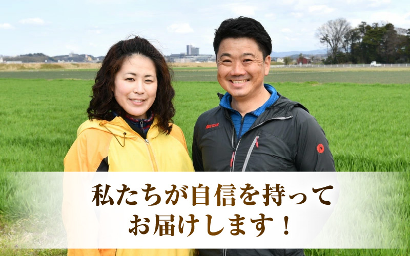 【先行予約】【令和8年産】《定期便3回》特別栽培米 コシヒカリ 5kg × 3回 （計15kg） 無洗米 低農薬 / 北陸 福井県産 あわら市 ブランド米 白米 お米 コメ 特栽米 ※2026年10月上旬以降順次発送予定 [aw056-c001]
