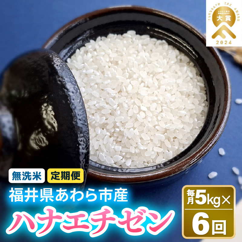 【先行予約】【令和8年産】定期便 ≪6ヶ月連続お届け≫ 華越前  無洗米 5kg×6回（計30kg）/ 米 5キロ 30キロ ハナエチゼン はなえちぜん 北陸 福井県産 あわら市 ブランド米 白米 お米 コメ こめ kome ※2026年10月上旬以降順次発送 [aw056-d001]