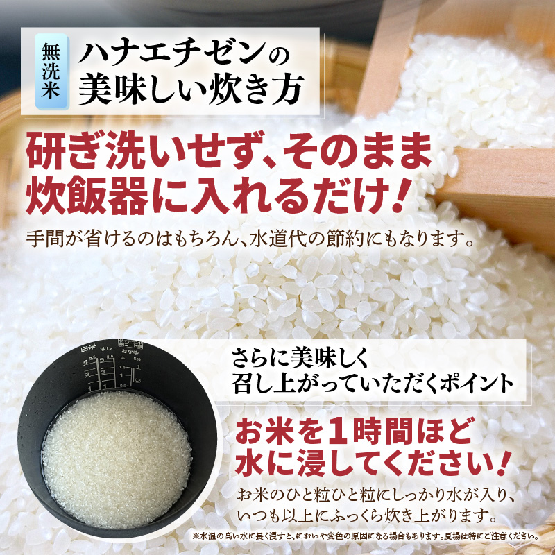 【先行予約】【令和8年産】定期便 ≪6ヶ月連続お届け≫ 華越前  無洗米 5kg×6回（計30kg）/ 米 5キロ 30キロ ハナエチゼン はなえちぜん 北陸 福井県産 あわら市 ブランド米 白米 お米 コメ こめ kome ※2026年10月上旬以降順次発送 [aw056-d001]