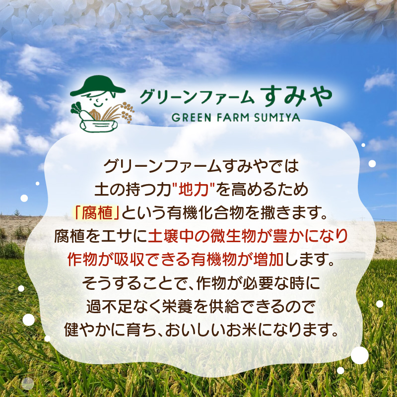 【先行予約】【令和8年産】定期便 ≪6ヶ月連続お届け≫ 華越前  無洗米 5kg×6回（計30kg）/ 米 5キロ 30キロ ハナエチゼン はなえちぜん 北陸 福井県産 あわら市 ブランド米 白米 お米 コメ こめ kome ※2026年10月上旬以降順次発送 [aw056-d001]