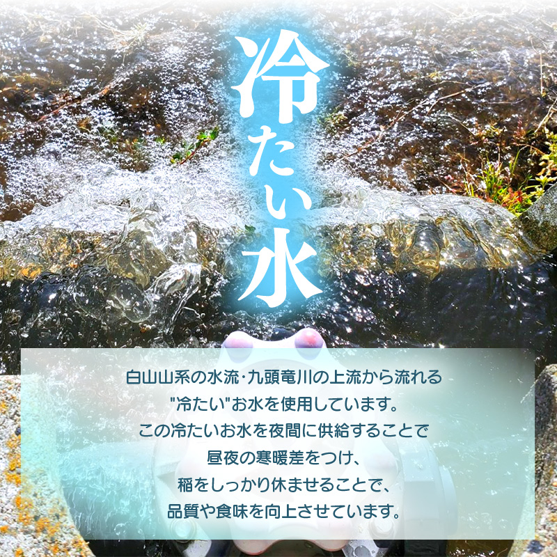 【先行予約】【令和8年産】定期便 ≪6ヶ月連続お届け≫ 華越前  無洗米 5kg×6回（計30kg）/ 米 5キロ 30キロ ハナエチゼン はなえちぜん 北陸 福井県産 あわら市 ブランド米 白米 お米 コメ こめ kome ※2026年10月上旬以降順次発送 [aw056-d001]