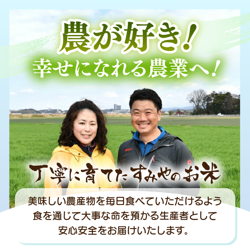 【先行予約】【令和8年産】定期便 ≪6ヶ月連続お届け≫ 華越前  無洗米 5kg×6回（計30kg）/ 米 5キロ 30キロ ハナエチゼン はなえちぜん 北陸 福井県産 あわら市 ブランド米 白米 お米 コメ こめ kome ※2026年10月上旬以降順次発送 [aw056-d001]