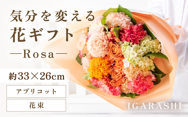 気分を変える花ギフト-Rosa-(花束・アプリコット) [aw062-c002_06]