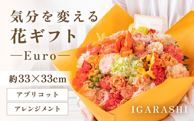 気分を変える花ギフト Euro(アレンジメント・アプリコット) [aw062-c003_05]