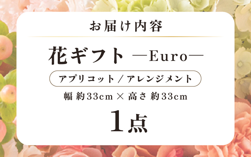 気分を変える花ギフト Euro(アレンジメント・アプリコット) [aw062-c003_05]