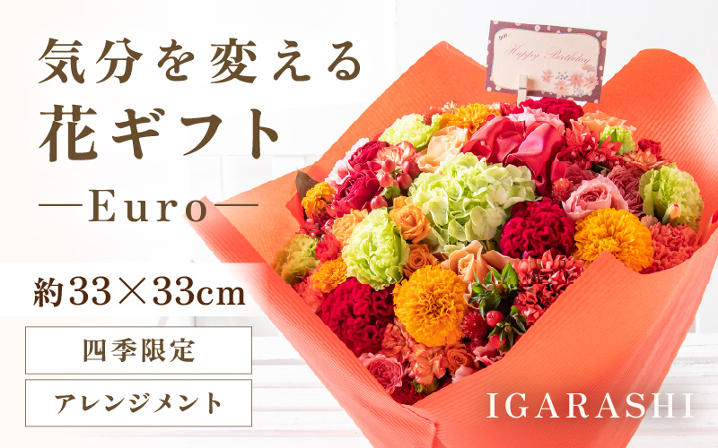 気分を変える花ギフト Euro(アレンジメント・四季限定アイテム) [aw062-c003_09]