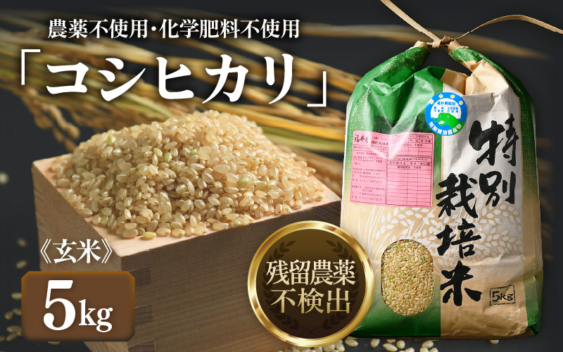 【先行予約】【令和8年産 新米】コシヒカリ 玄米 5kg 特別栽培米 農薬不使用 化学肥料不使用 ／ 残留農薬ゼロ 高品質 鮮度抜群 福井県産 ブランド米 ※2026年9月下旬より順次発送予定 [aw063-a011]