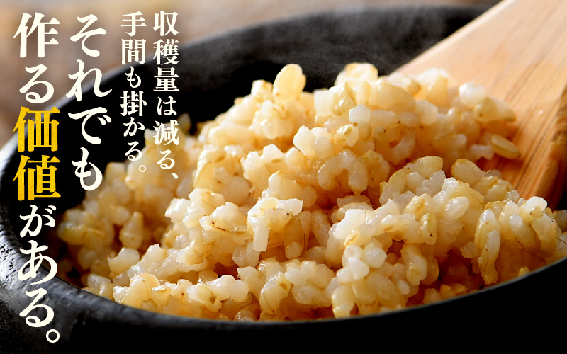 【先行予約】【令和8年産 新米】コシヒカリ 玄米 5kg 特別栽培米 農薬不使用 化学肥料不使用 ／ 残留農薬ゼロ 高品質 鮮度抜群 福井県産 ブランド米 ※2026年9月下旬より順次発送予定 [aw063-a011]