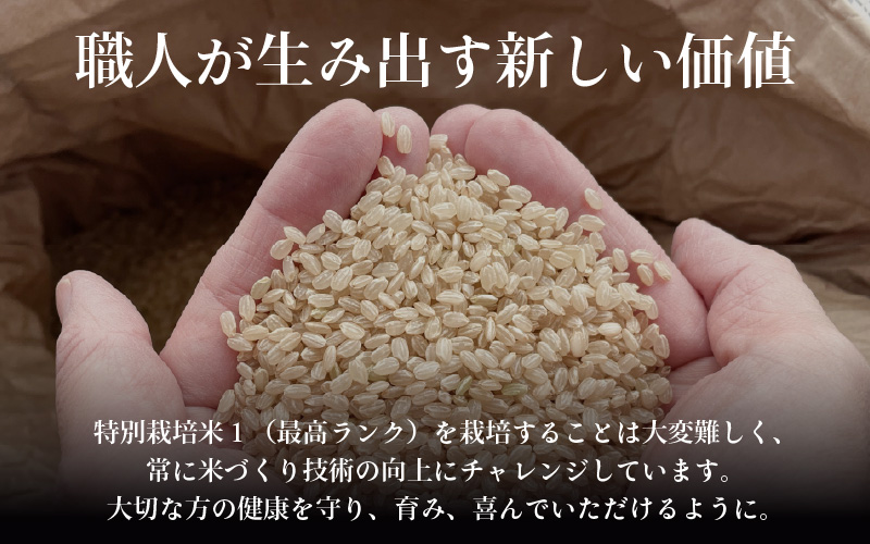 【先行予約】【令和8年産 新米】コシヒカリ 玄米 5kg 特別栽培米 農薬不使用 化学肥料不使用 ／ 残留農薬ゼロ 高品質 鮮度抜群 福井県産 ブランド米 ※2026年9月下旬より順次発送予定 [aw063-a011]