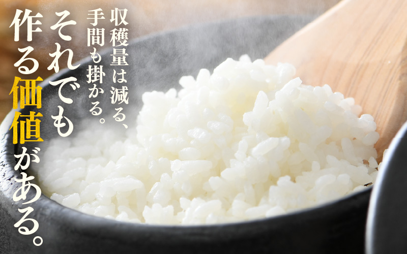 【先行予約】【令和8年産 新米】コシヒカリ 精米 5kg 特別栽培米 農薬不使用 化学肥料不使用 ／ 残留農薬ゼロ 高品質 鮮度抜群 福井県産 ブランド米 白米 ※2026年9月下旬より順次発送予定 [aw063-a012]