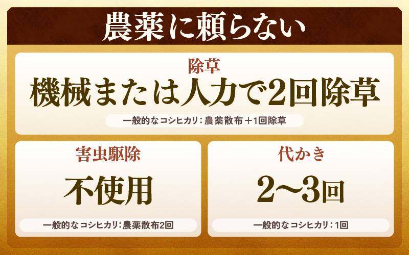 【先行予約】【令和8年産 新米】コシヒカリ 精米 5kg 特別栽培米 農薬不使用 化学肥料不使用 ／ 残留農薬ゼロ 高品質 鮮度抜群 福井県産 ブランド米 白米 ※2026年9月下旬より順次発送予定 [aw063-a012]